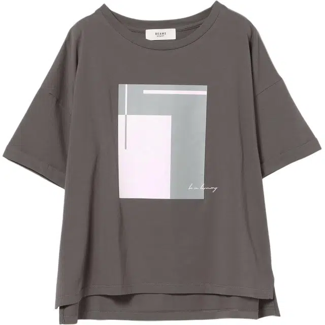 beams T