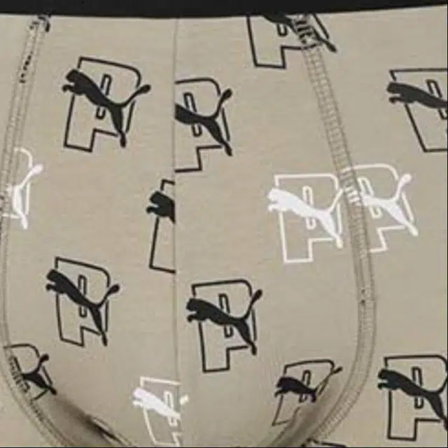 PUMA 2