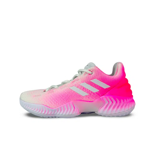 adidas Pro Bounce 2018 Bounce