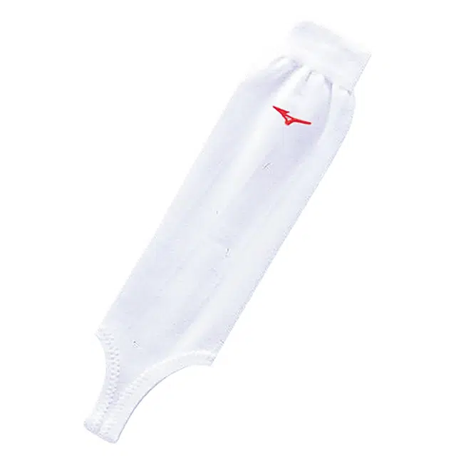 Mizuno 1