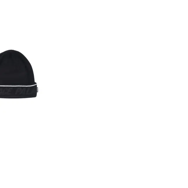 PALACE -
