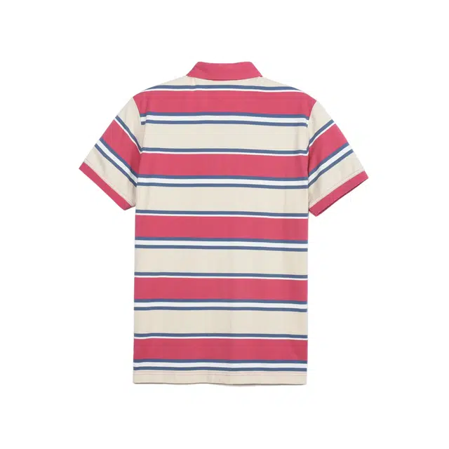 MCS Polo