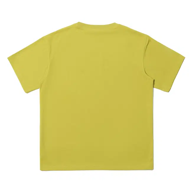 NSTNEW START T
