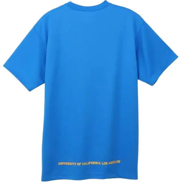 Champion T
