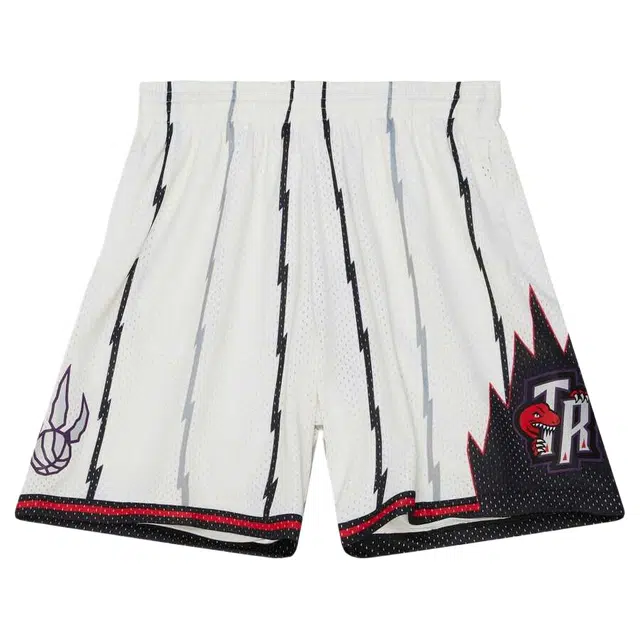 Mitchell Ness 199899 Swingman