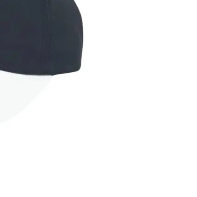 PALACE -