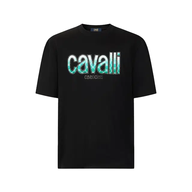 Cavalli Class T
