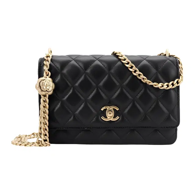 CHANEL Classic Flap CF 25P
