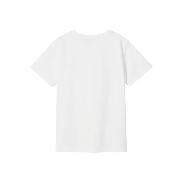 Hotwind T
