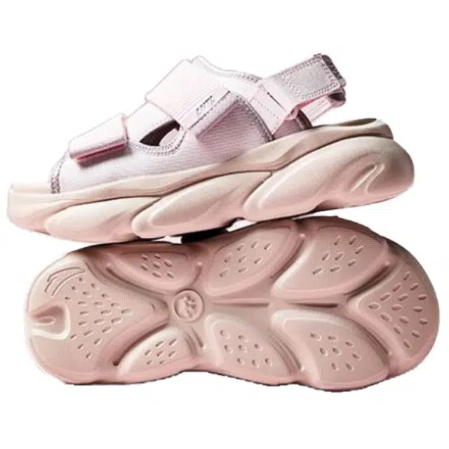 Anta