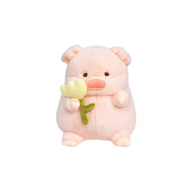 20cm30cm