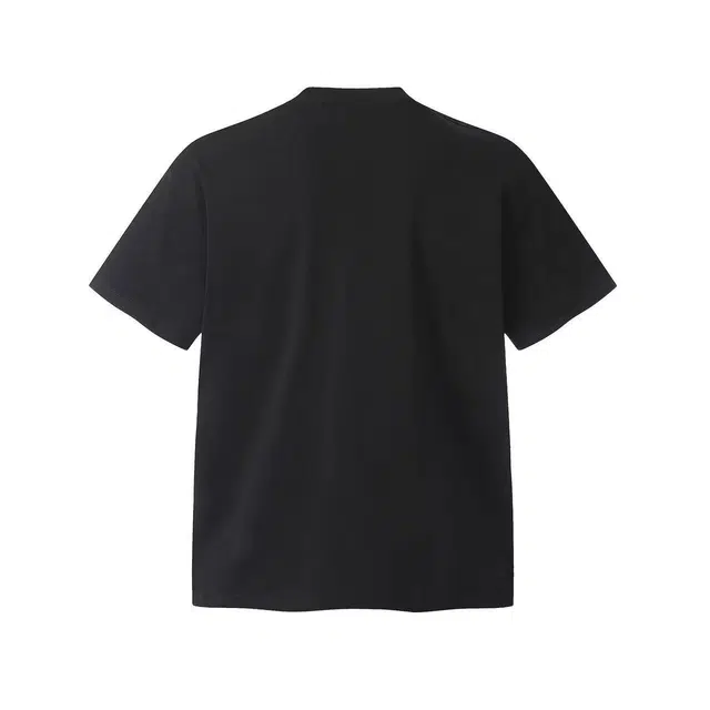 PVPVPV T