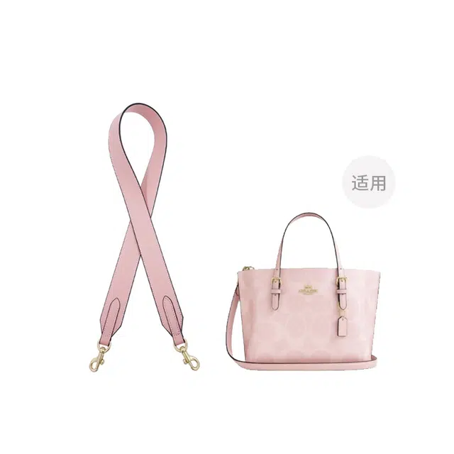 COACH Mollie 25 Tote