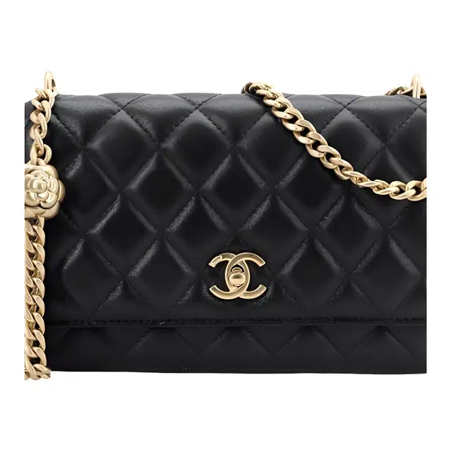 CHANEL Classic Flap CF 25P
