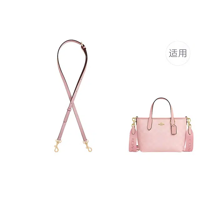 jingxi city15 coach mini