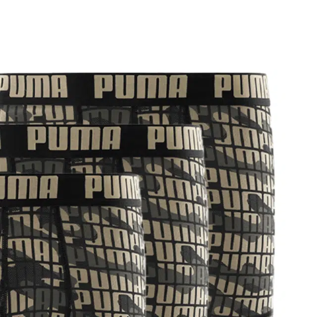 PUMA 3
