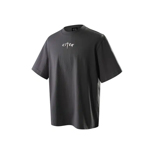 TBHNP logo T