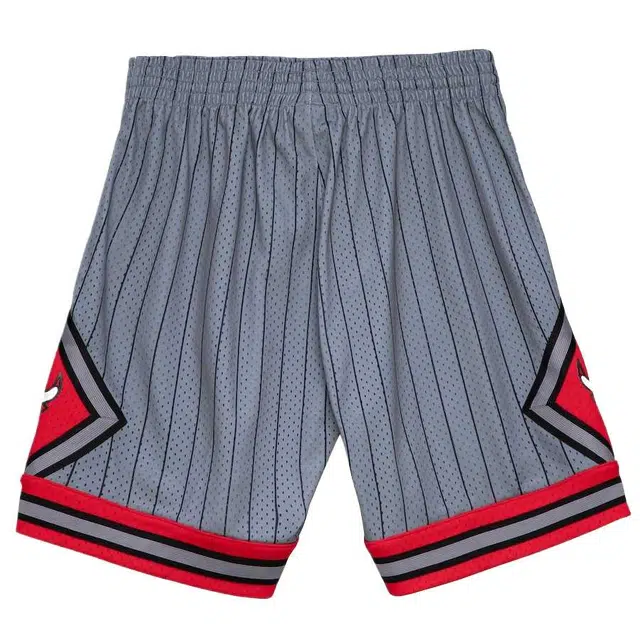 Mitchell Ness 199596 Reload 2.0 Swingman