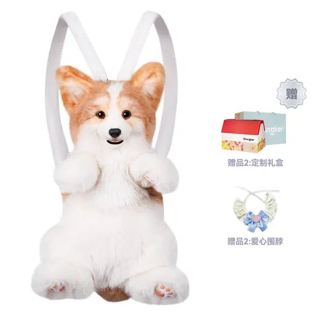 Chongker 50cm