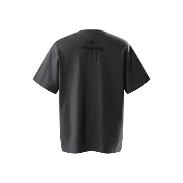 TBHNP logo T