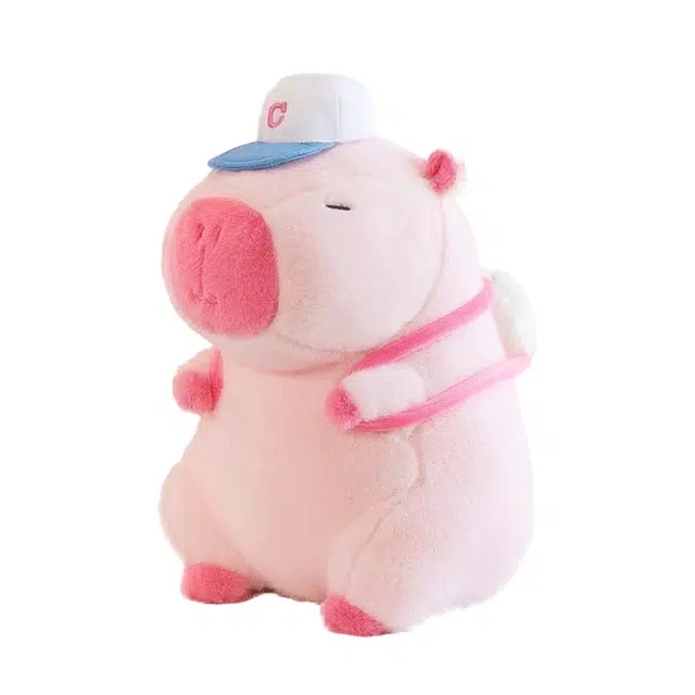 abay 22cm