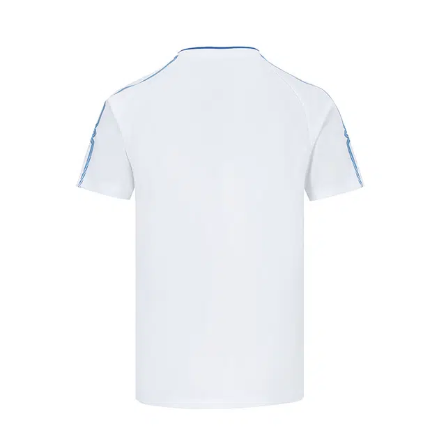 Mizuno T