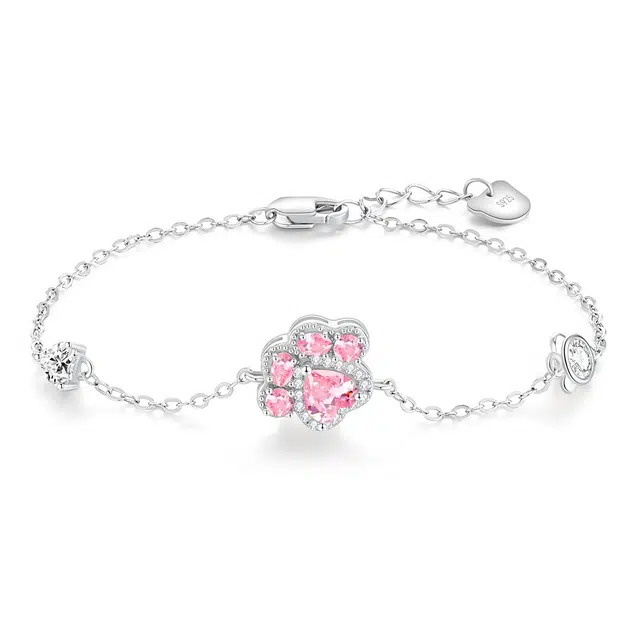CAREBEARS S925
