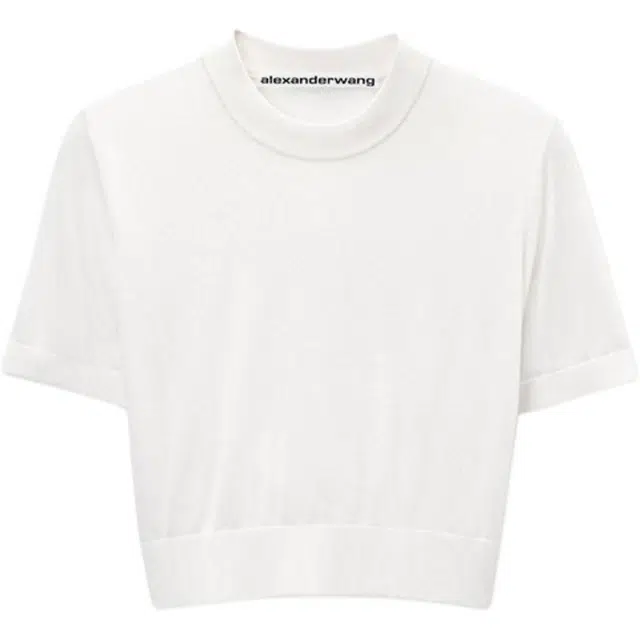 alexander wang T