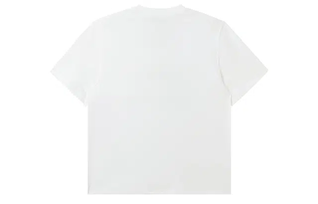ICONS Lab ICS T