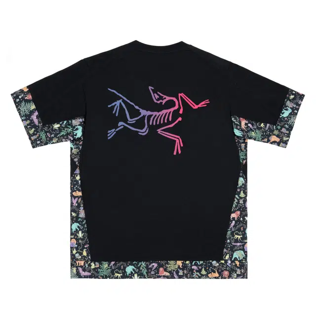 Arcteryx KRAGG logoT Black