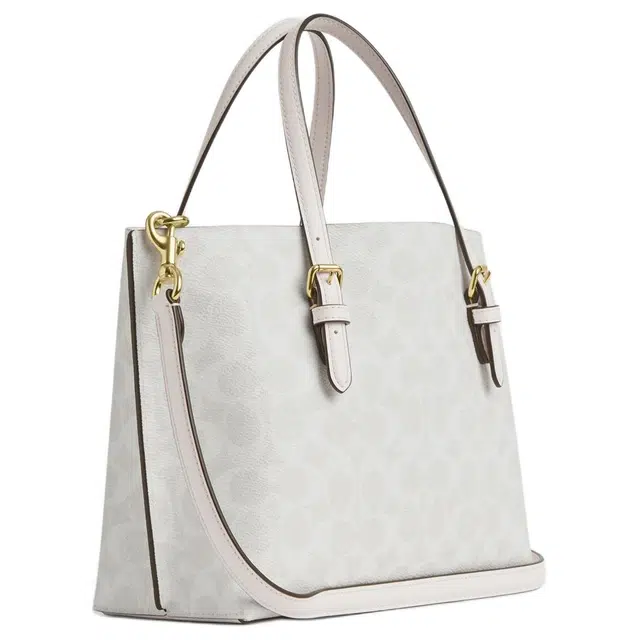 COACH x PEANUTS Mollie 25 SNOOPY Tote