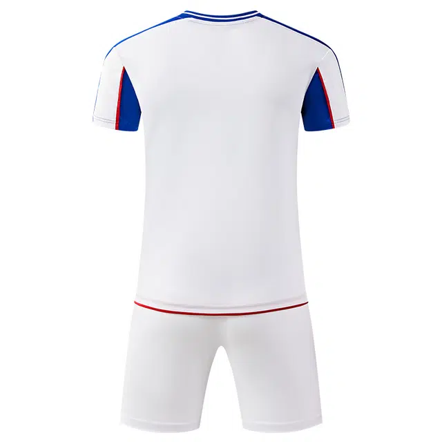 JOMA 2