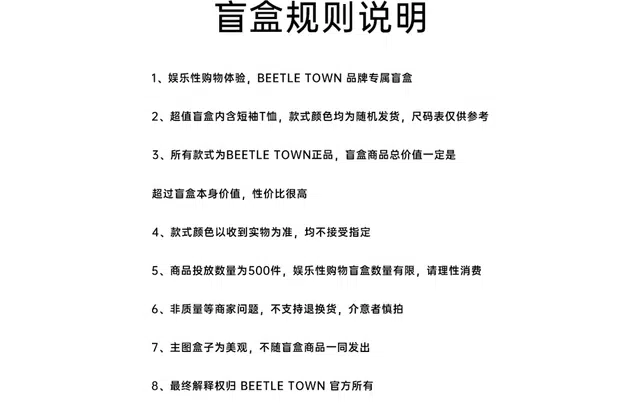 BEETLE TOWN T