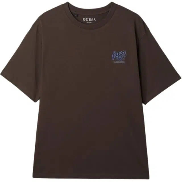 GUESS T
