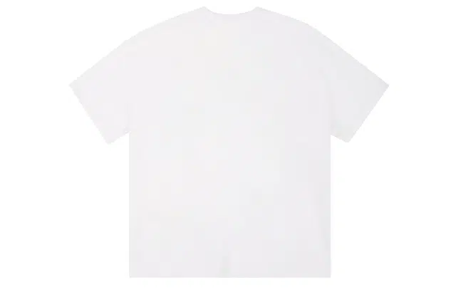 ICONS Lab ICS T