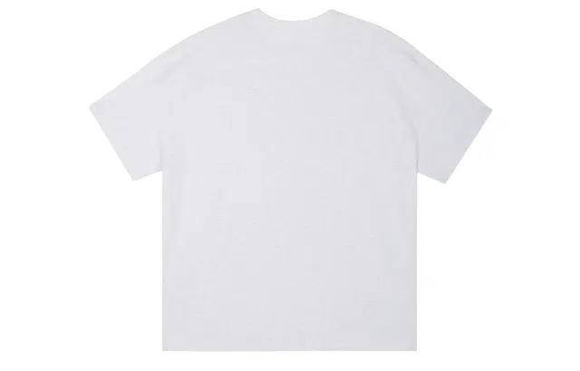 ICONS Lab ICS T