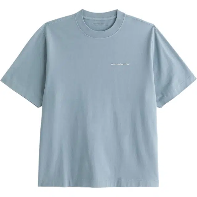 AbercrombieFitch T