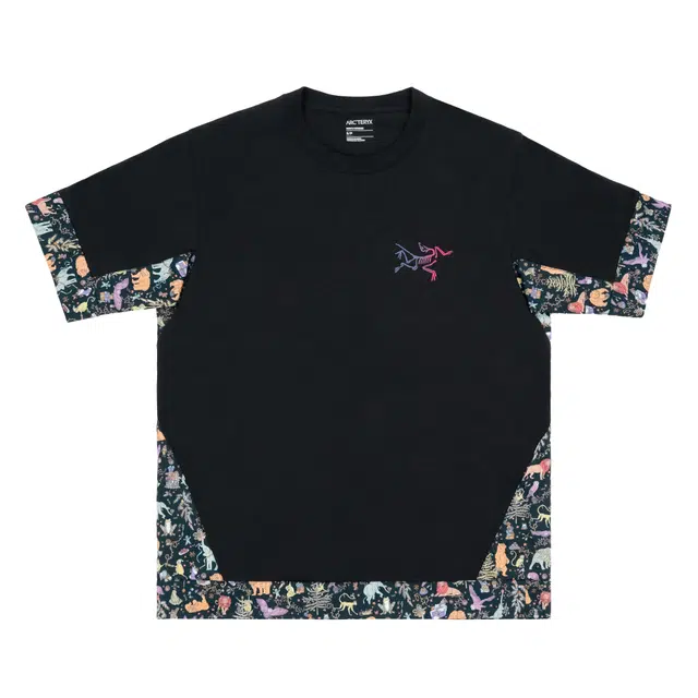 Arcteryx KRAGG logoT Black