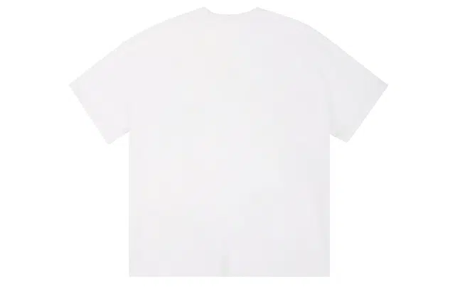ICONS Lab ICS T