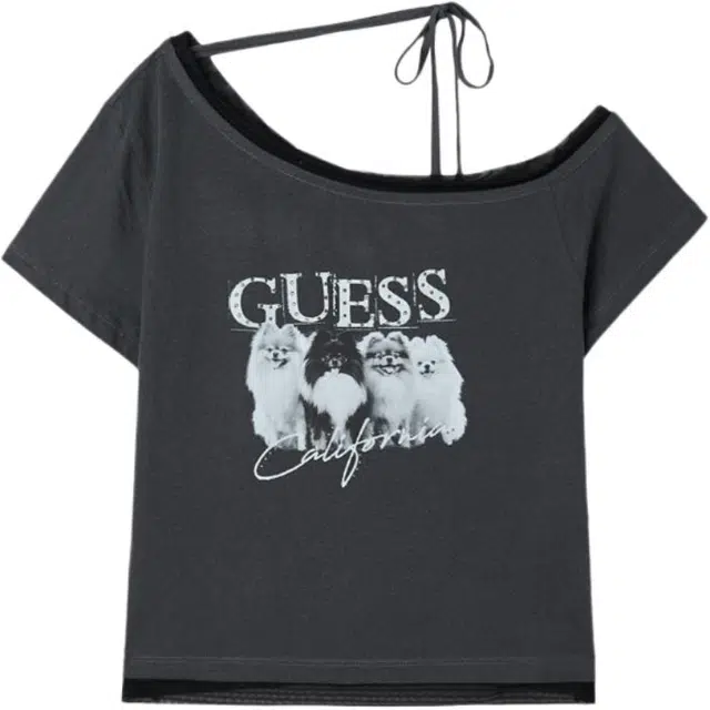 GUESS T