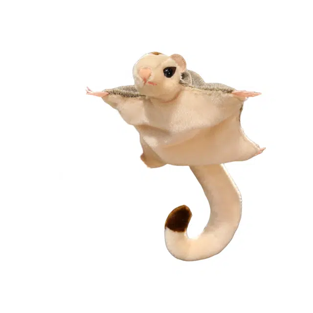 33cm