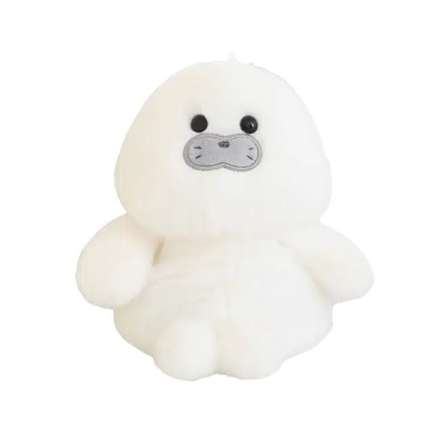 CANEXT 13cm