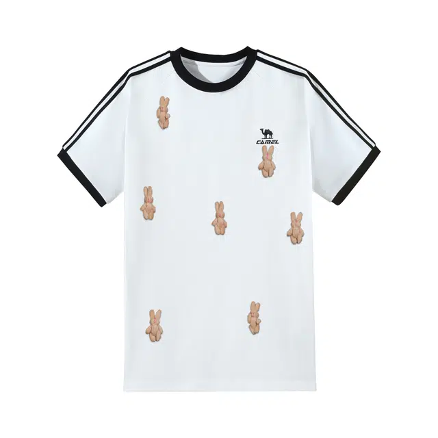 CAMEL logoT