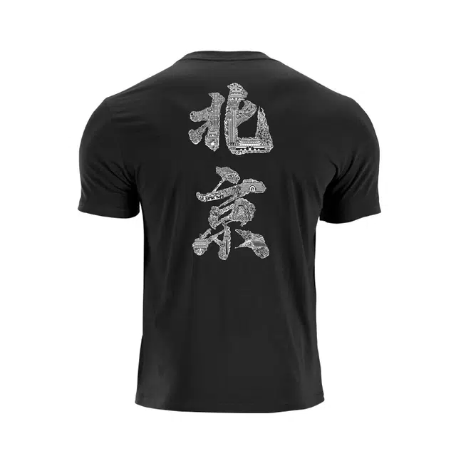 LUXIAOJUN T