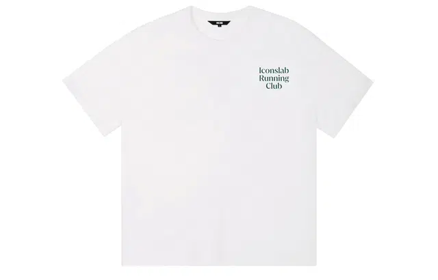 ICONS Lab ICS T