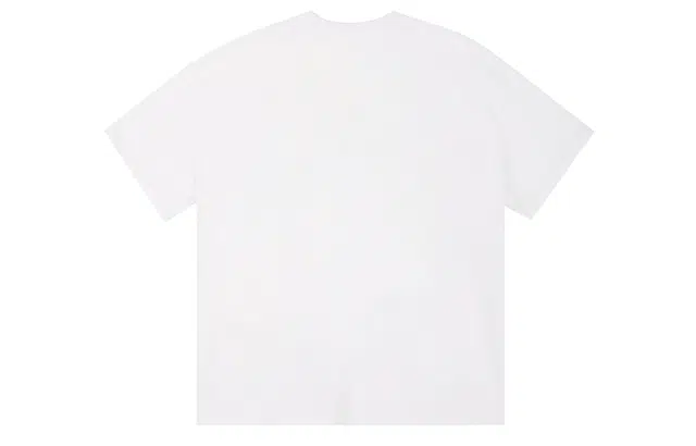 ICONS Lab ICS T
