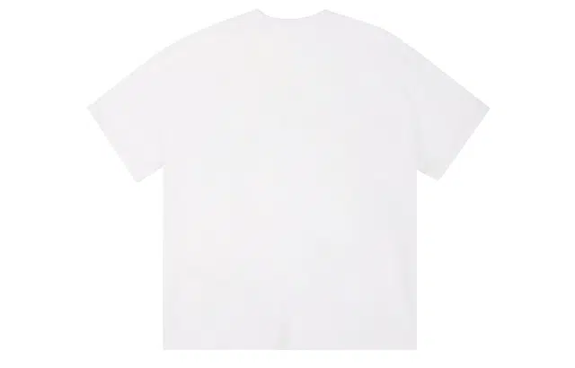 ICONS Lab ICS T
