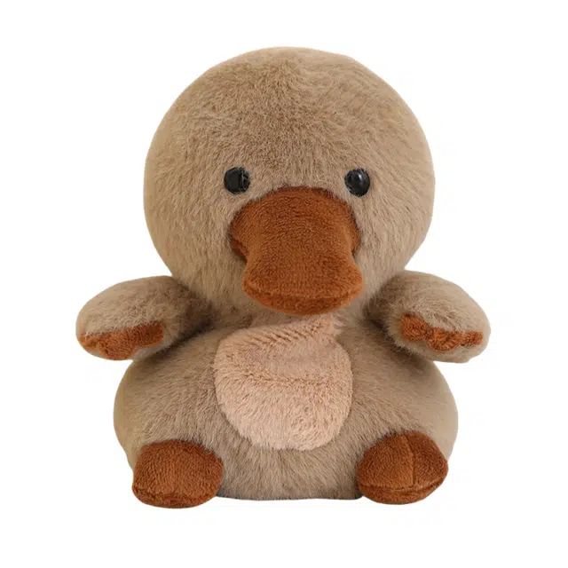CANEXT 13cm