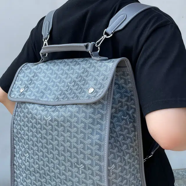 FANJI Goyard