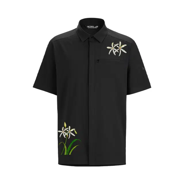 Arcteryx SKYLINE logo